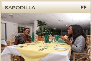 sapodilla